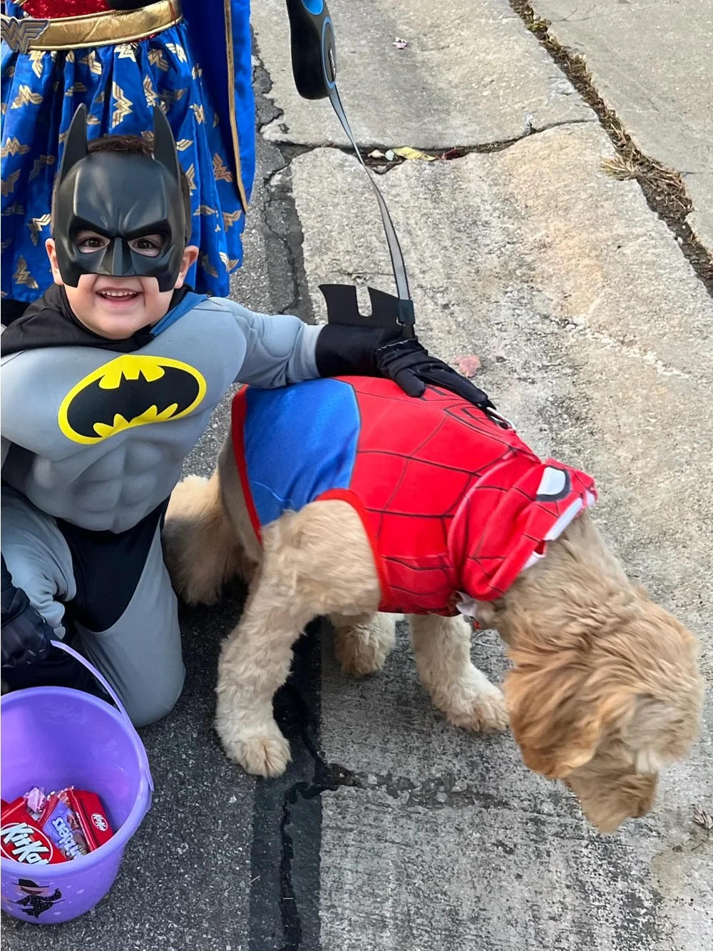 Dog Spider-Man Costume Hoodie